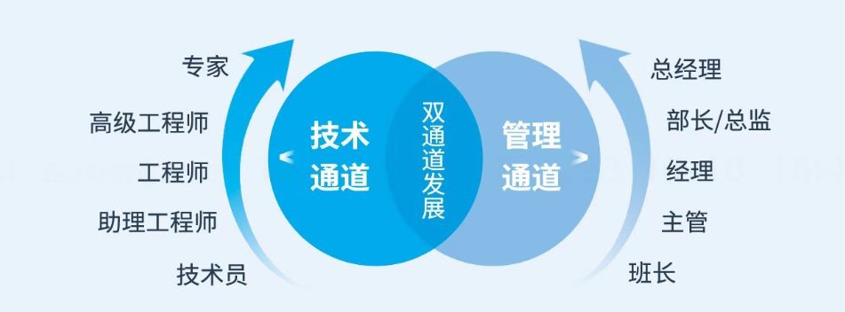 1763955104406117.jpg 2.jpg